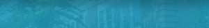 company header