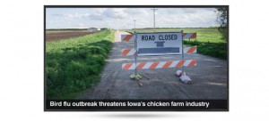 Content Feeds News